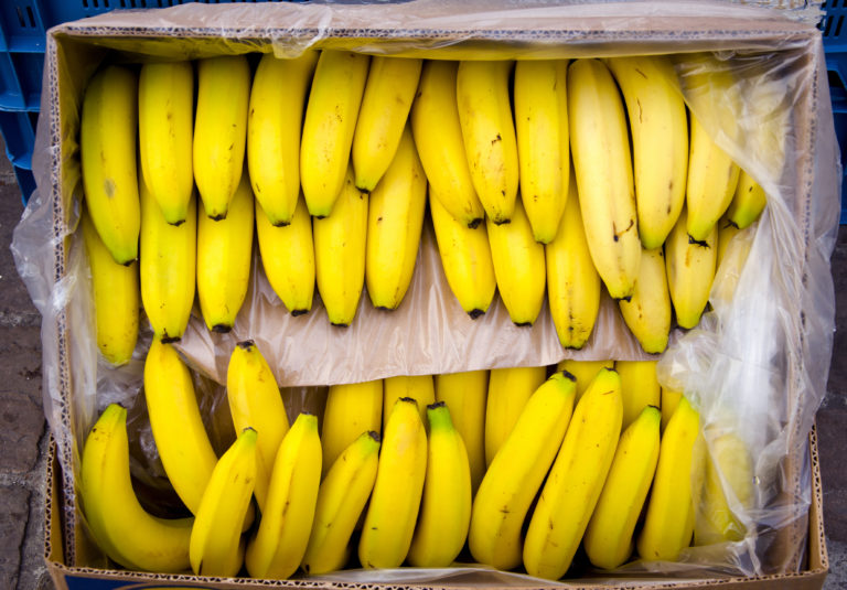 Spain: Two Men Arrested After Cocaine Discovered in Fake Bananas