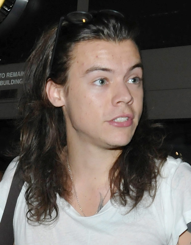 Harry Styles: Ed Sheeran Has Heard My Songs