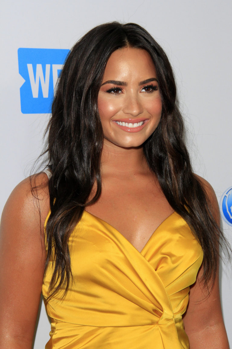 Demi Lovato Helps Friend Propose at Her Concert