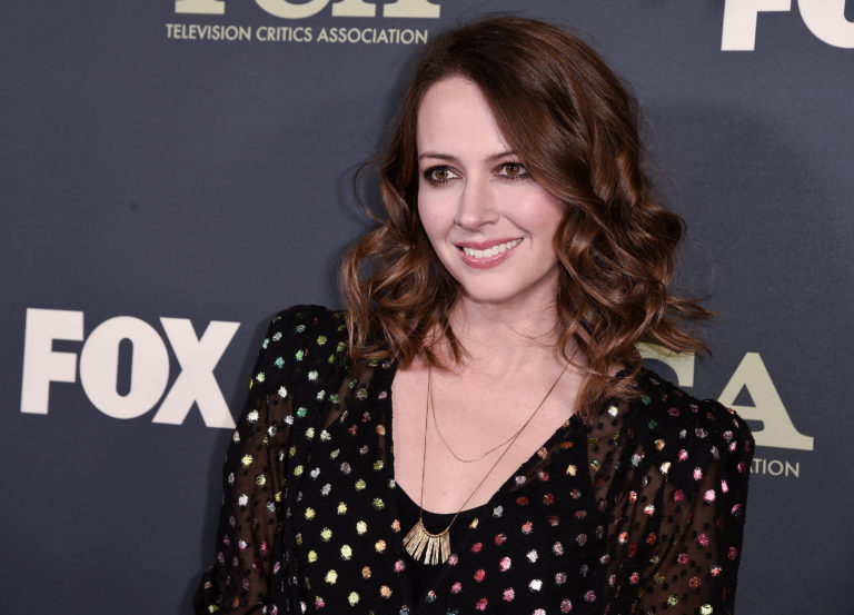 Grey’s Anatomy Casts Amy Acker As Derek’s Sister