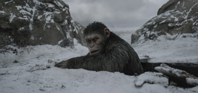 New “Planet of the Apes” Movie in the Works